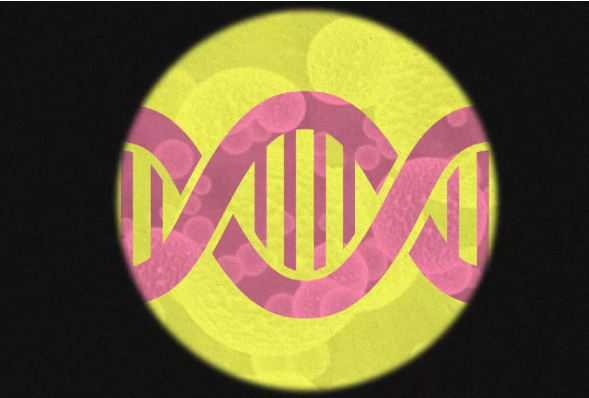 C.O. Design: A Guide To The $13.4 Billion Biodesign Industry
