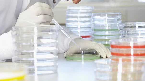 Mckinsey & Company: Exploring the disruptive potential of synthetic biology