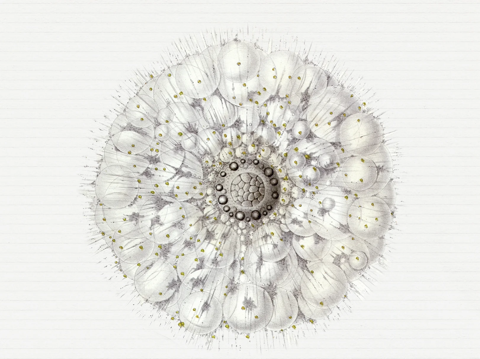 Microbia_Eugenia-Bone_cover_highres.jpg