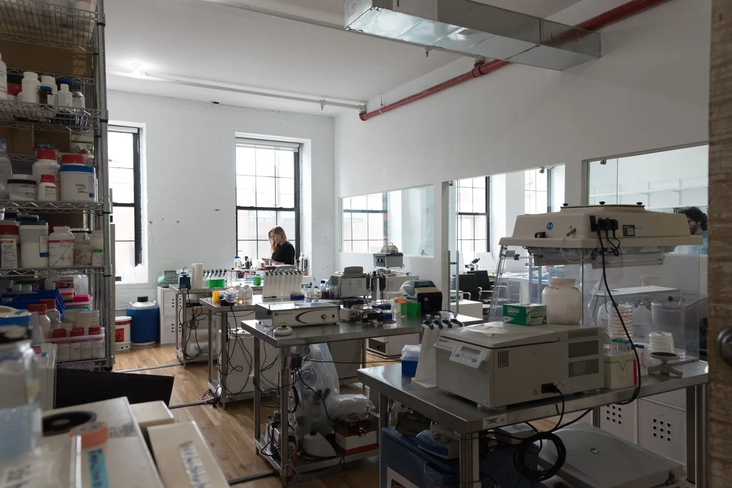 Copy of DSC_7090.jpg