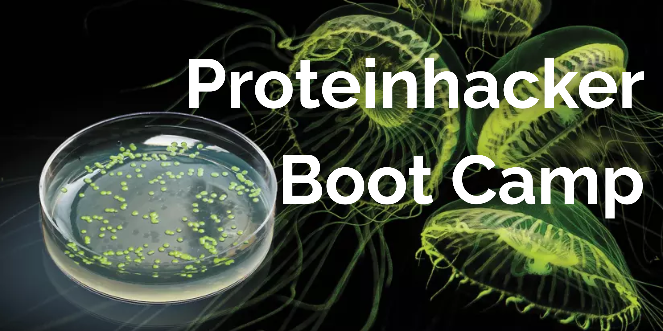 Biologic Boot Camp Program Bio Classes New York City — Genspace