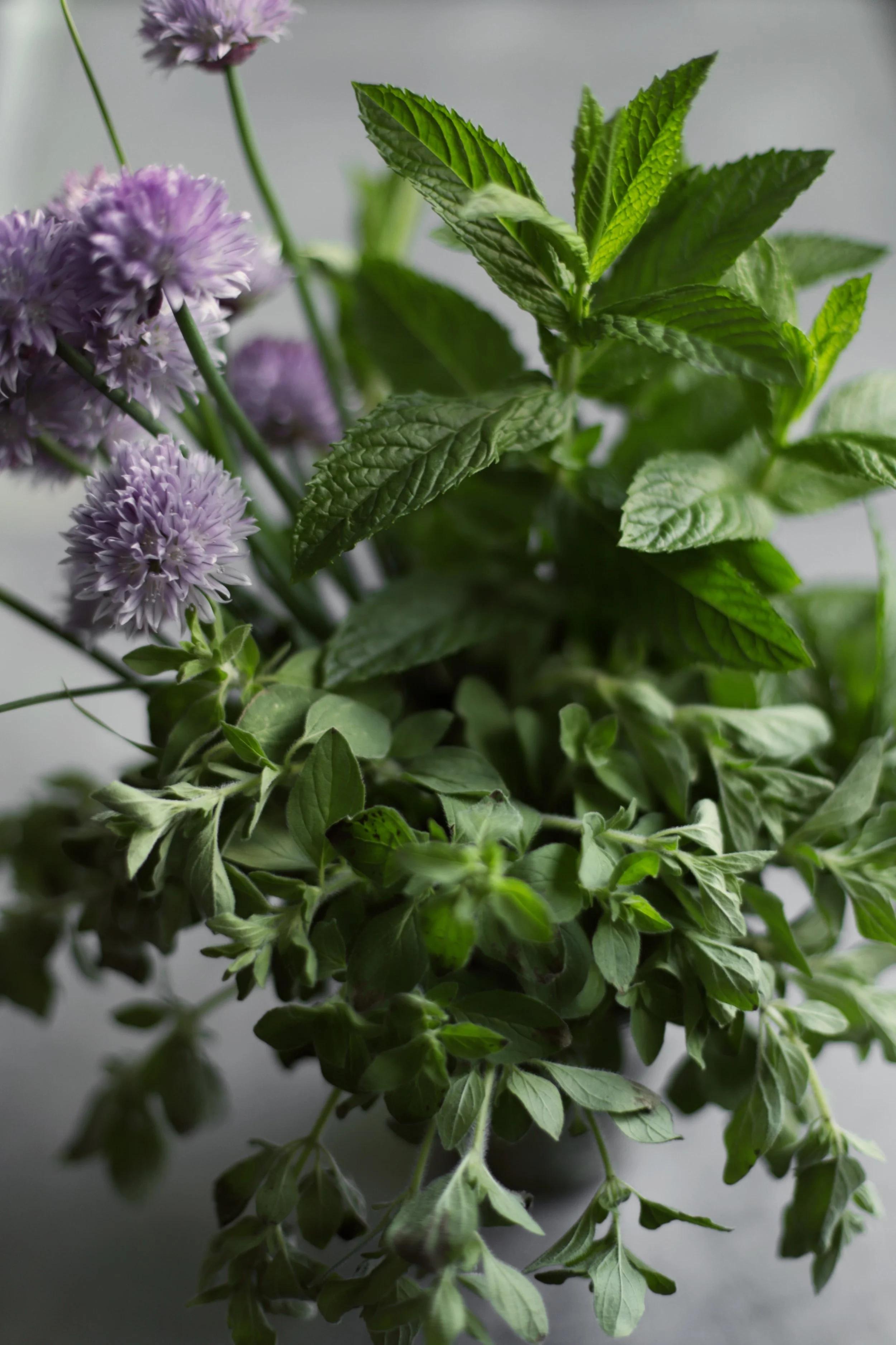 Ingredient Highlight Za atar Cardamom And Tea