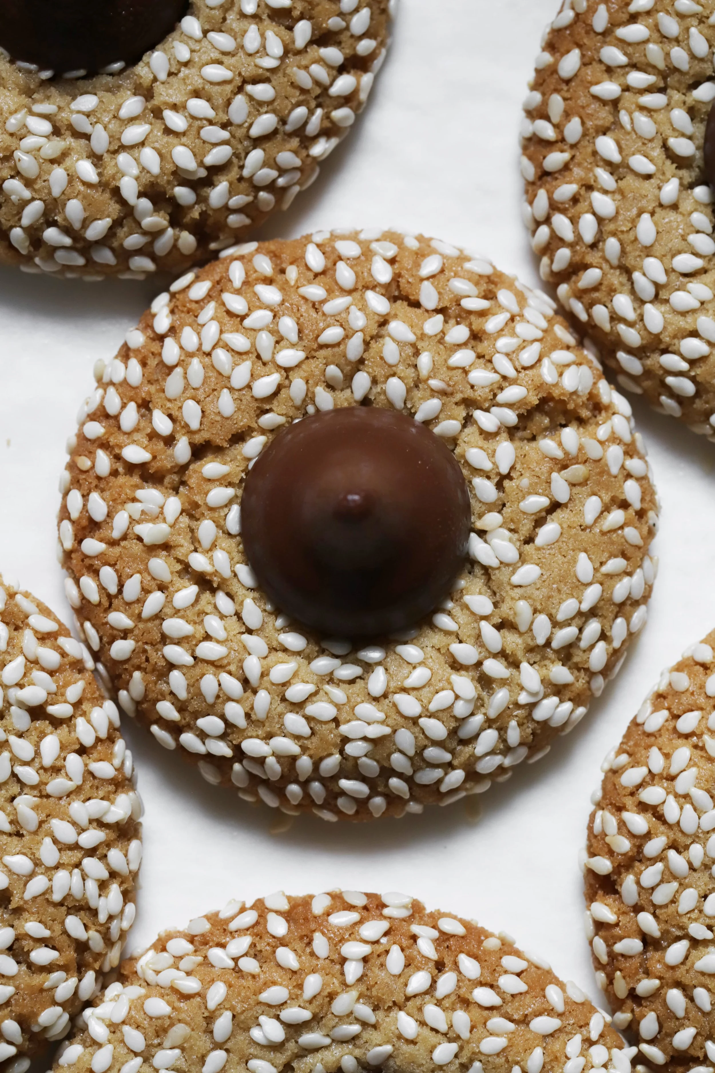 sesame blossom cookies — Cardamom and Tea