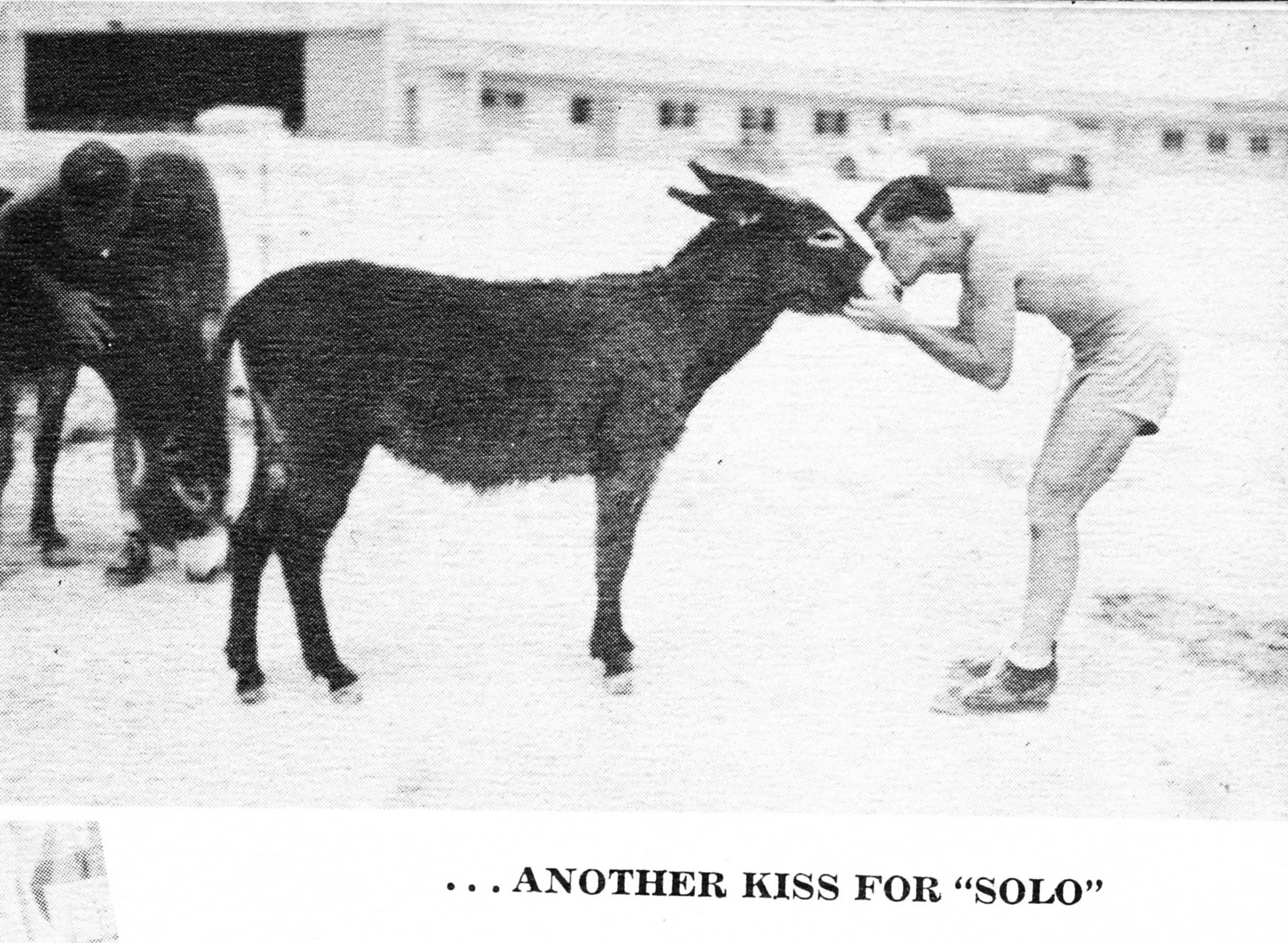 Whenever a cadet completed his first solo flight, he had to kiss the real Solo mascot kept at the air base.