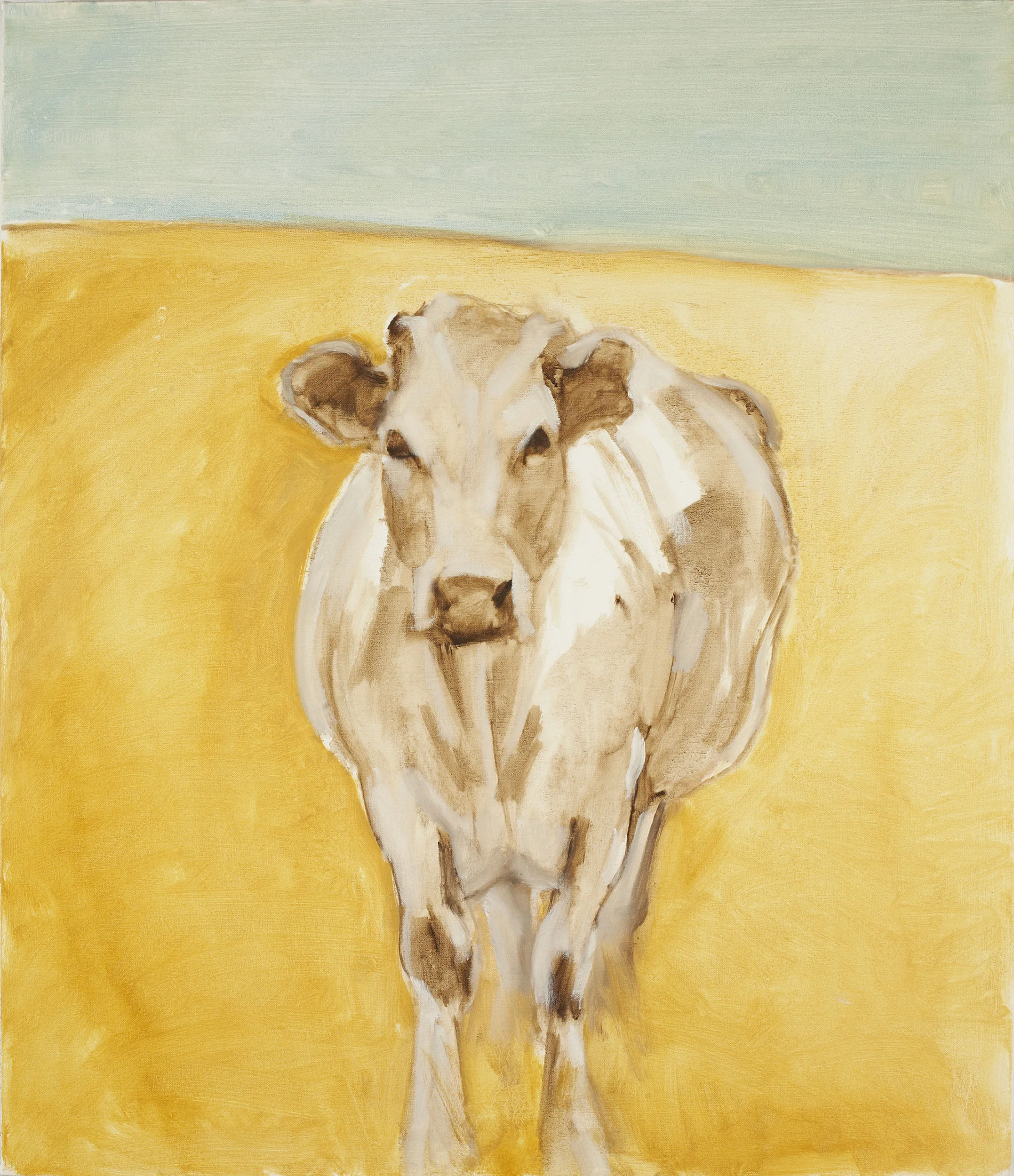 Cow 2004
