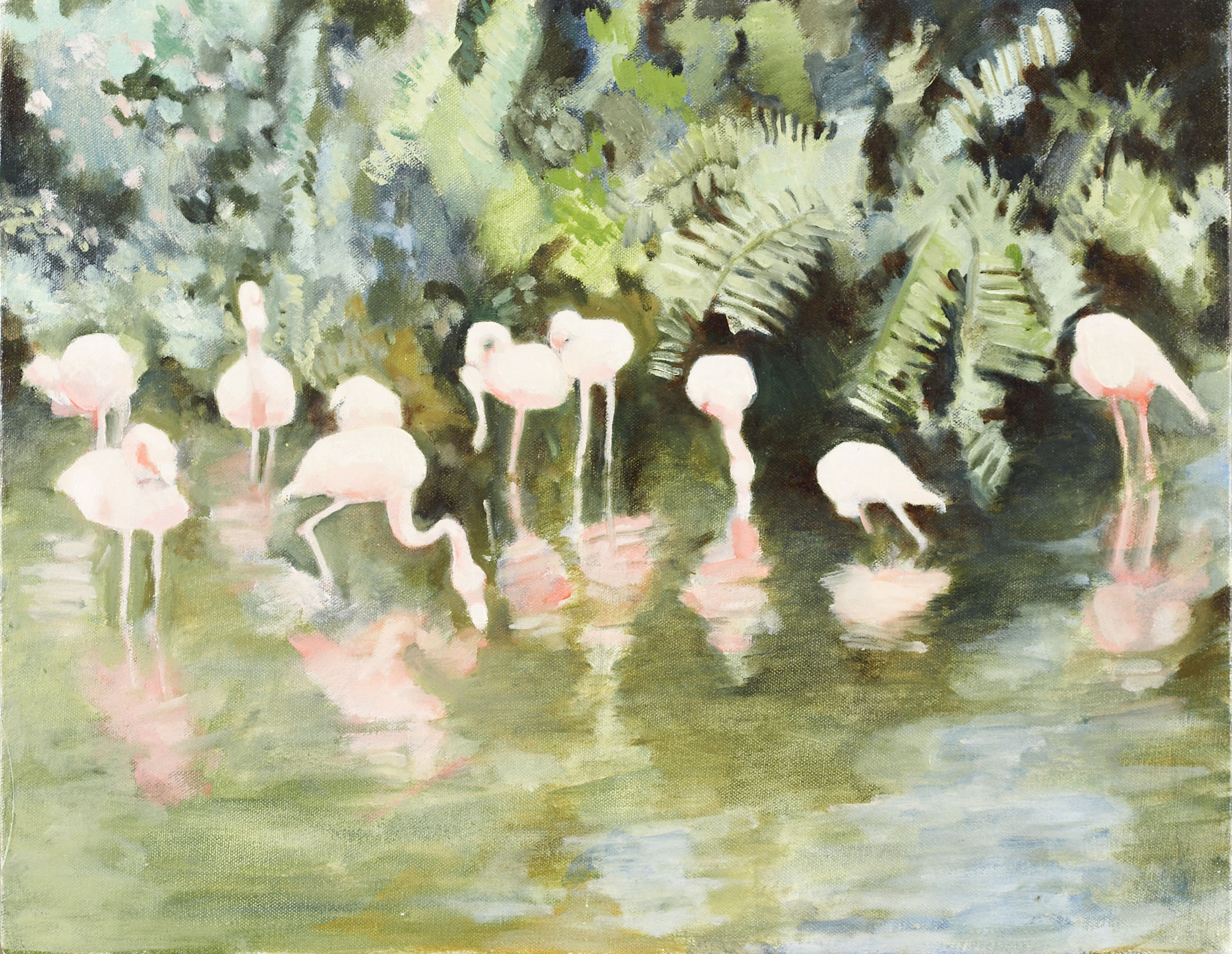 Flamingos 2003