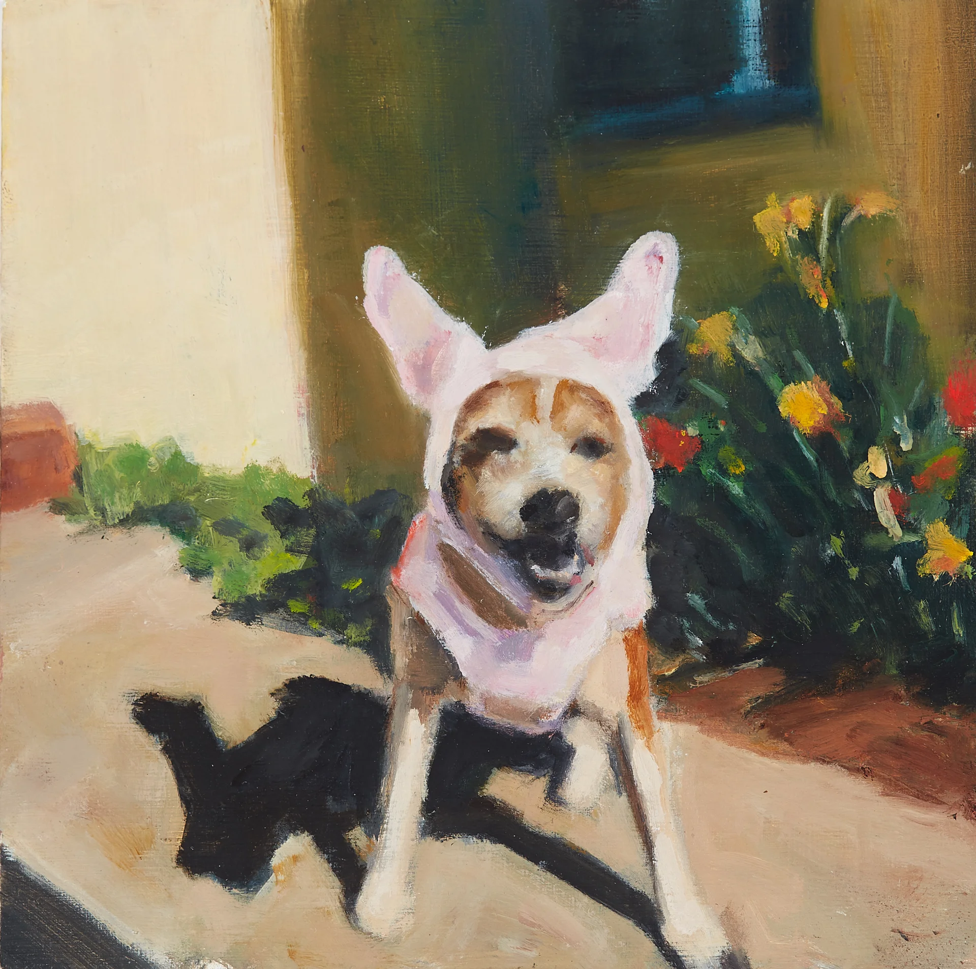 Jack Bunny 2016