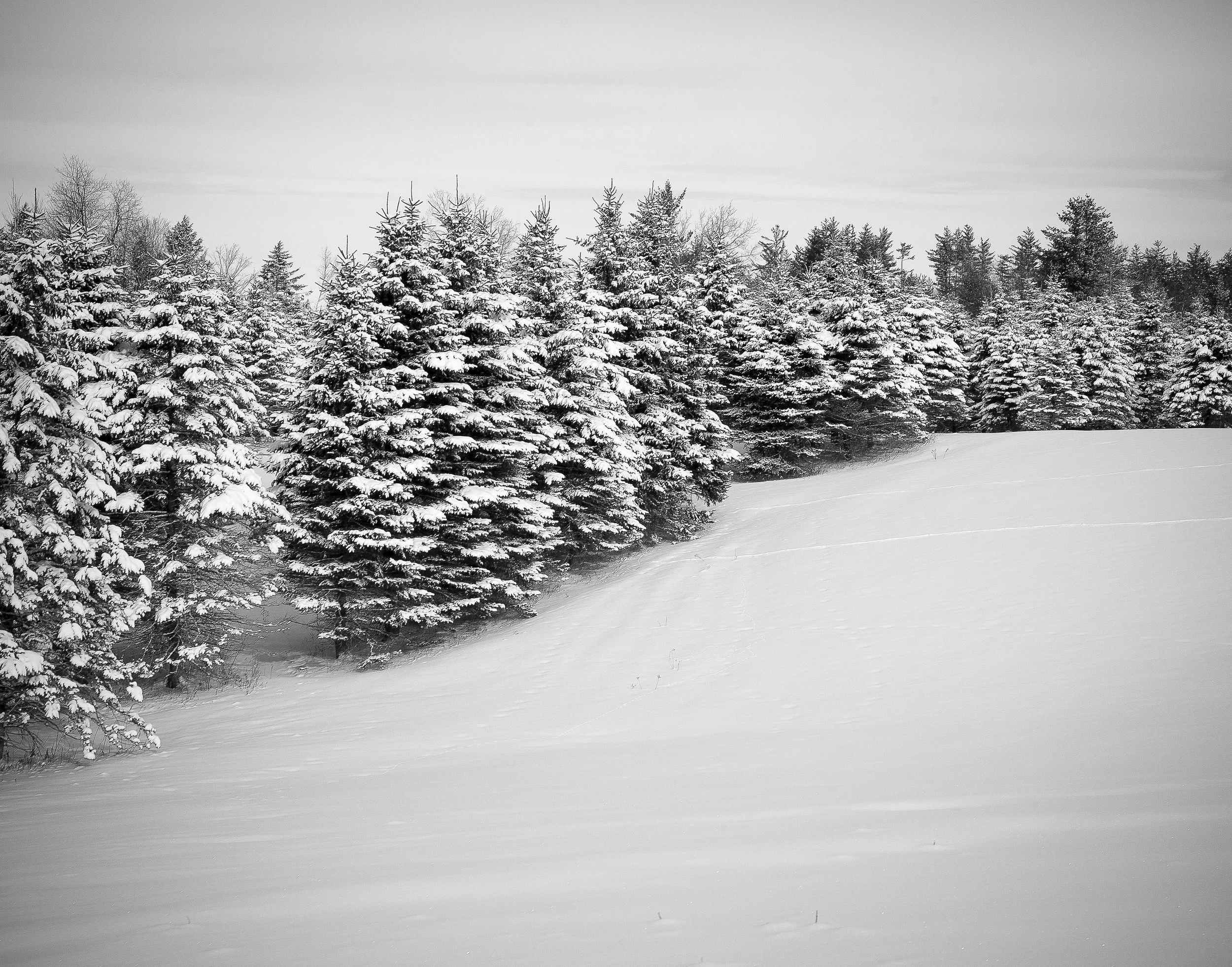 IMG_4345-Edit.jpg
