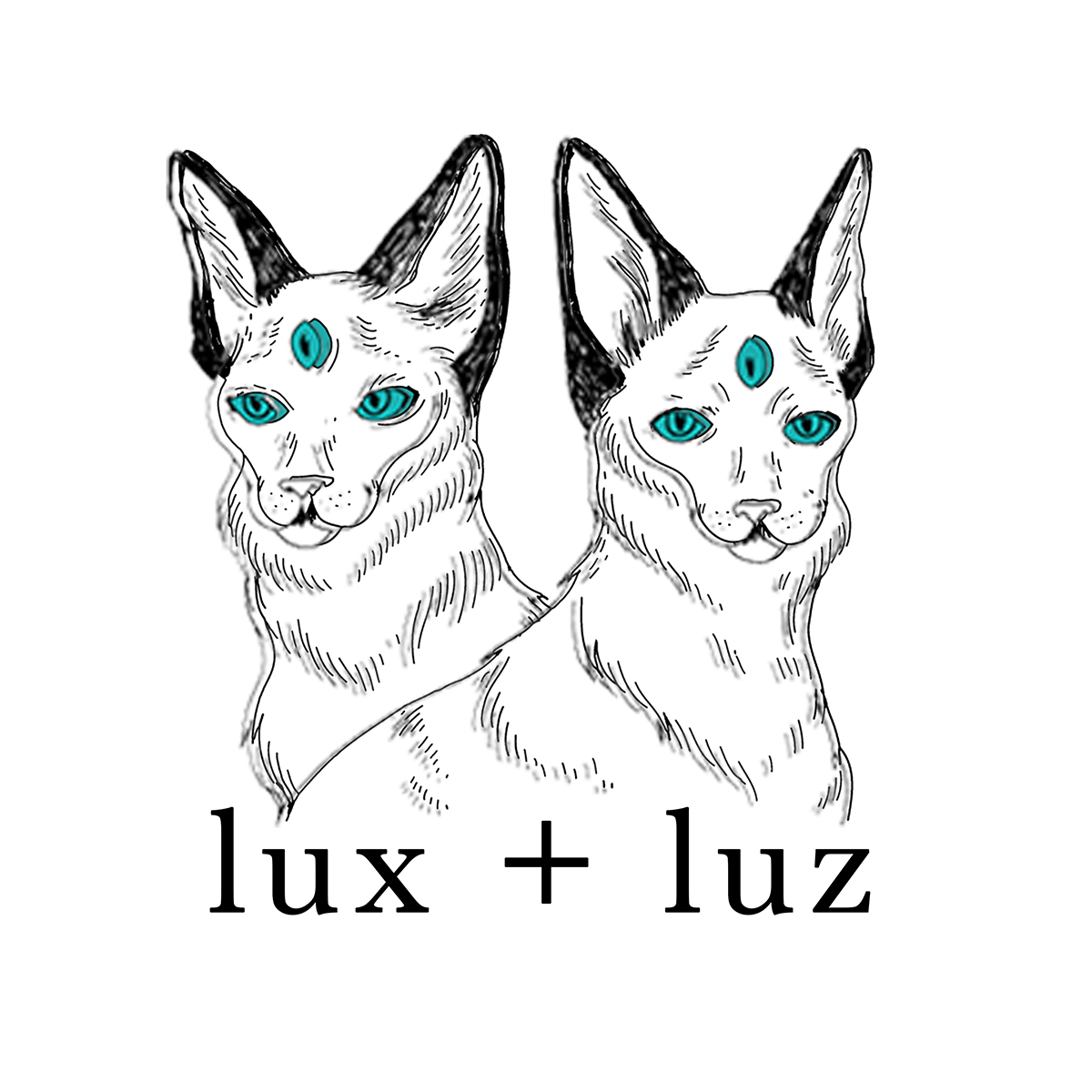 luxandluz.jpg