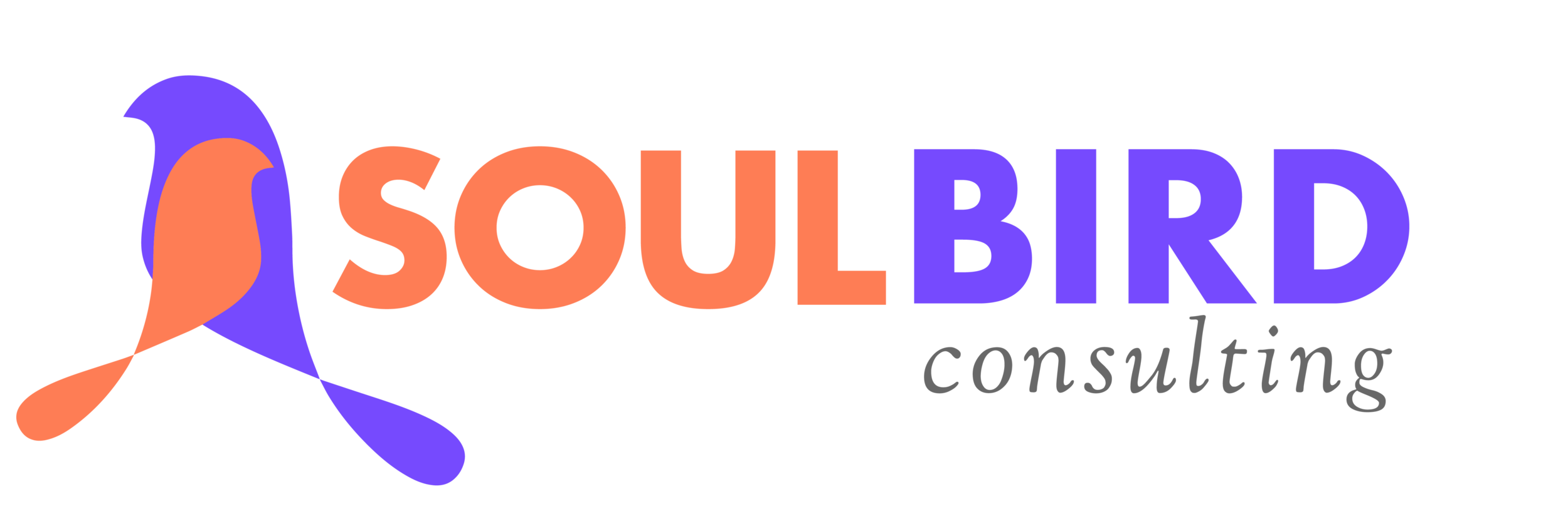 Soul Bird Consulting