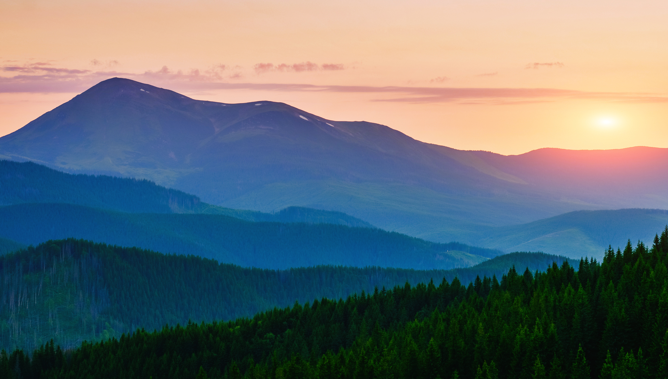 Photo by standret/iStock / Getty Images