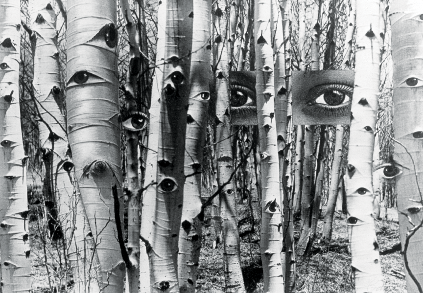Herbert Bayer, In Search of Times Past , 1959