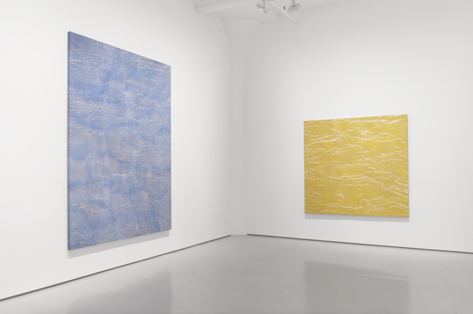 Screen Shot 2019-01-29 at 11.08.44 AM.png