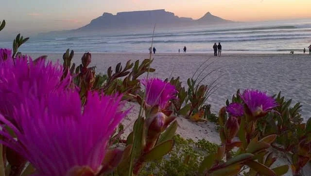 Salseek: Salsation Comeback in South Africa