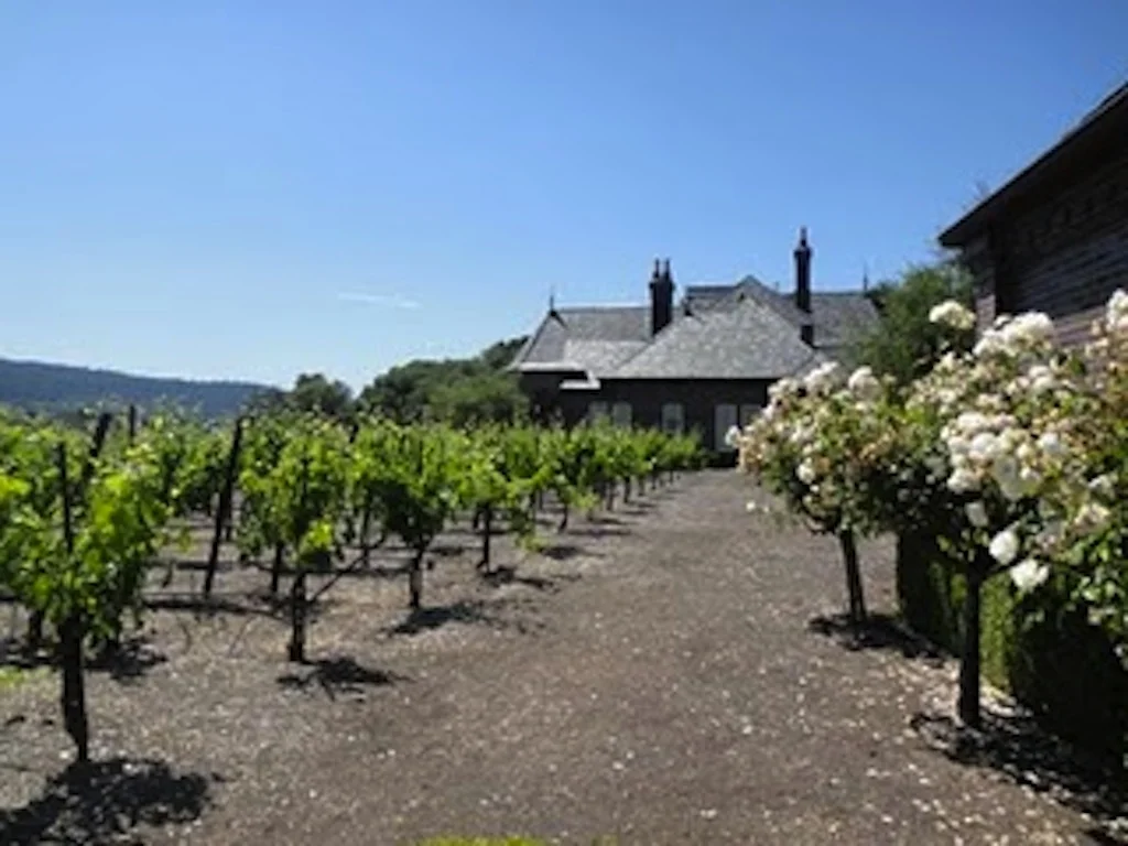 Napa Shmapa, go to Sonoma!