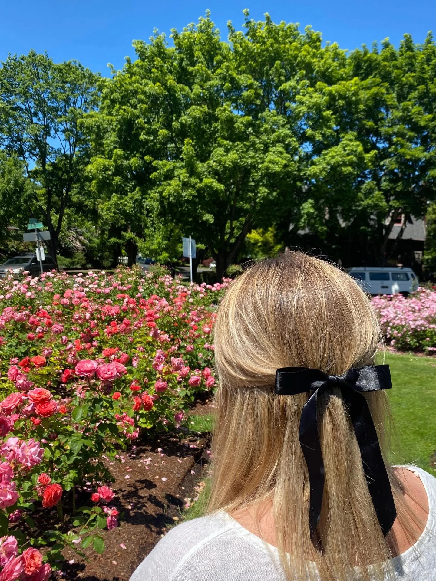 excited to share with you that the blog is baaack !!! 🤗✨

be sure to check out the most recent post on Flourishing in The Kingdom of God 🌹🌹🌹

&ldquo;Abide in Me, and I in you. As the branch cannot bear fruit of itself, unless it abides in the vin