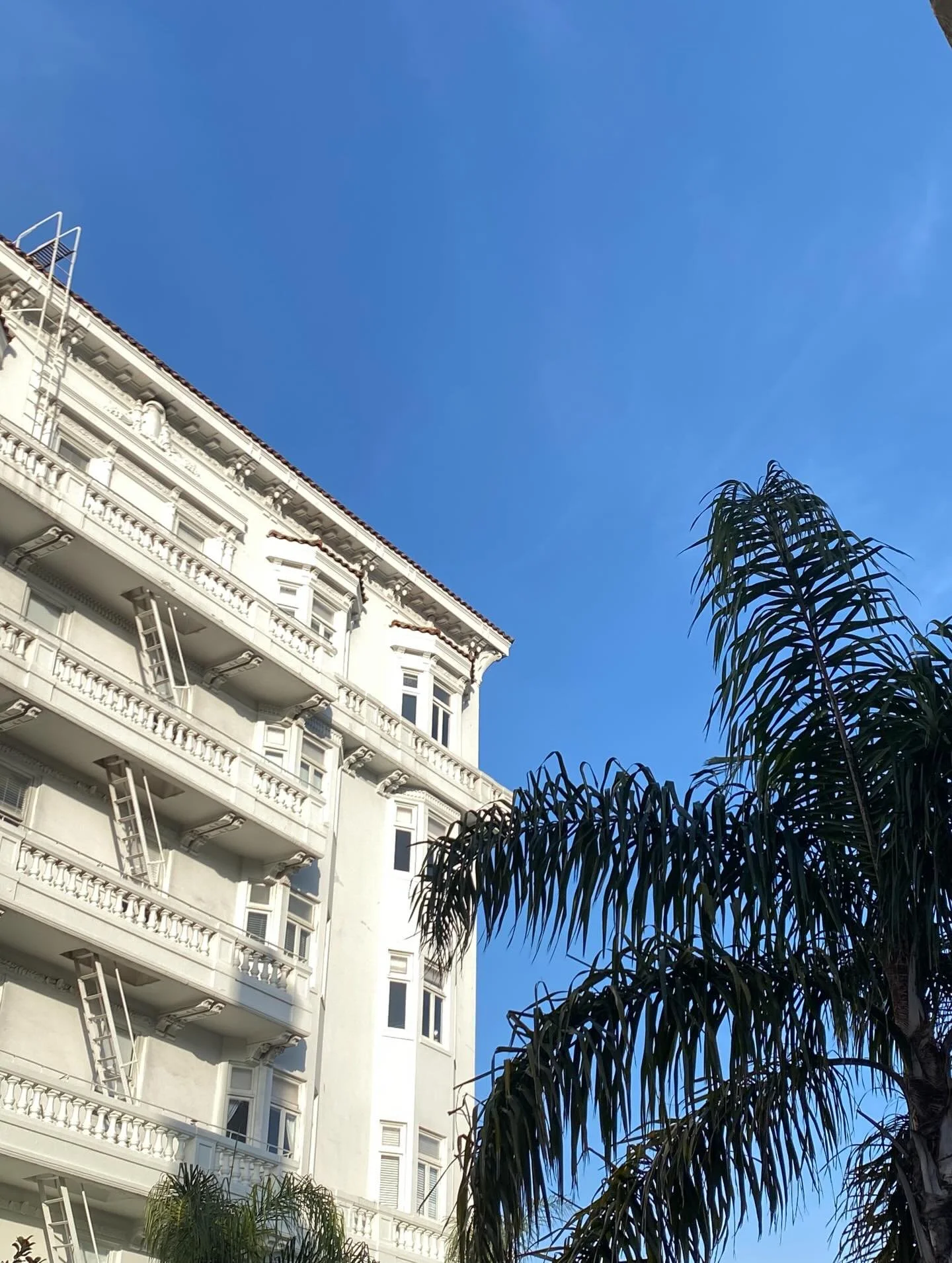 a little recap of a refreshing trip to San Fran