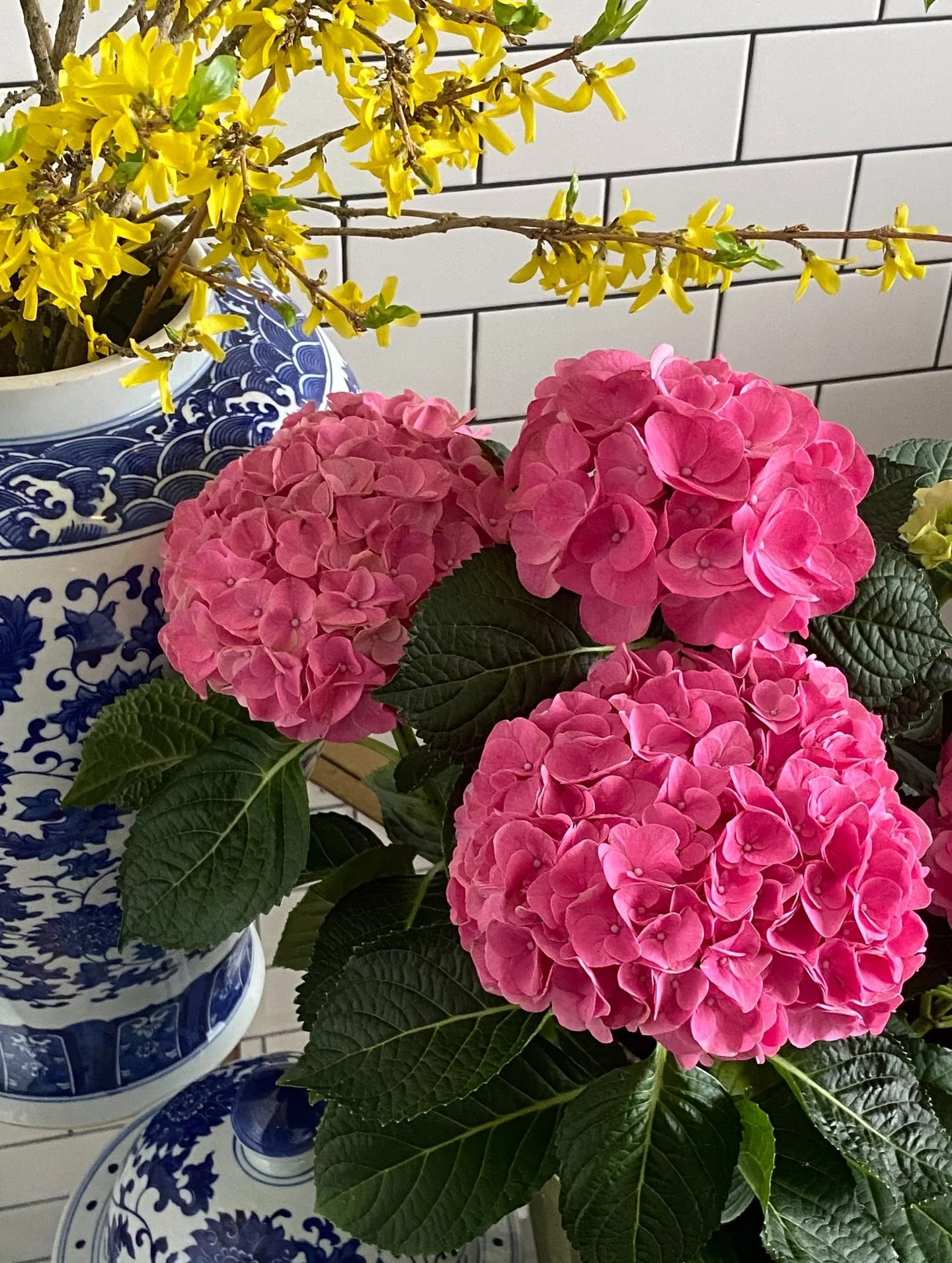 &ldquo;living with an eternal perspective as citizens of heaven&rdquo; is up on the blog for your reading pleasure✨ 

link is in the bio if you wanna give it a peek!! 👀