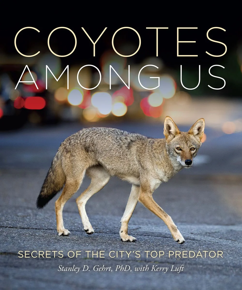 coyotes_cover.jpg
