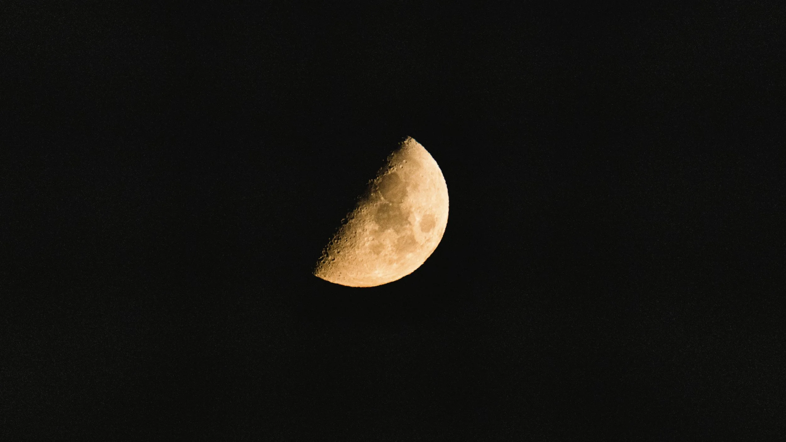 5D6A1233-1.jpg