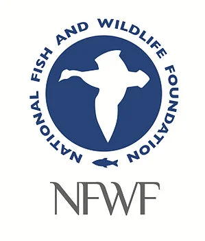 NFWF Announces $1.19 Million in Grants to Support Sustainable Fisheries in the U.S.