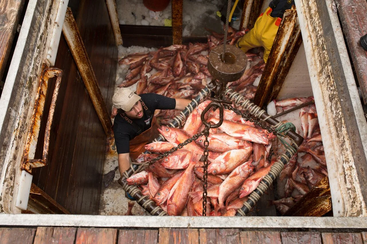 More Good News for West Coast Groundfish!