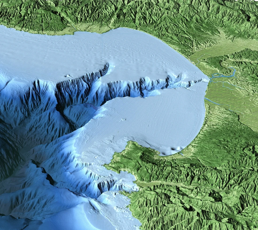 Credit: David Fierstein (c) 2000 MBARI This aerial view of Monterey Bay from the south was created by combining computer-generated topographic and bathymetric data. Vertical relief has been exaggerated to better show the Monterey Canyon and mountains on either side of the bay.