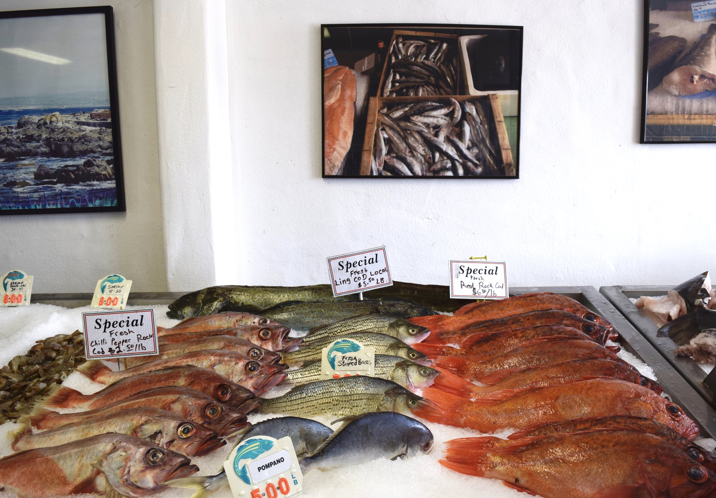 Fish market at Wharf II. (Photo credit: City of Monterey)