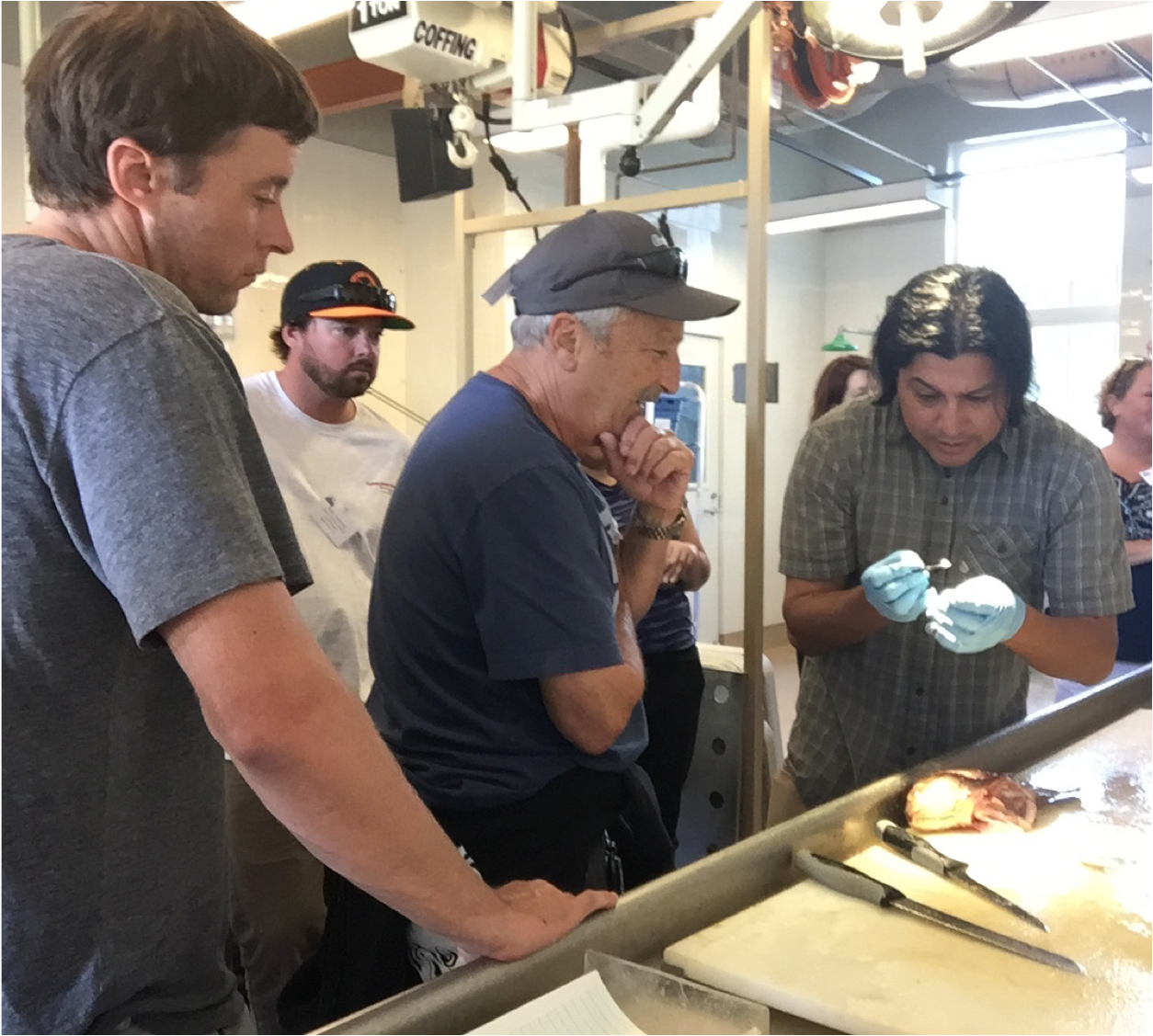 Troy Dooley and others watch on as Carlos Garza demonstrates methodologies for stock identification and population structure in the genetics lab.