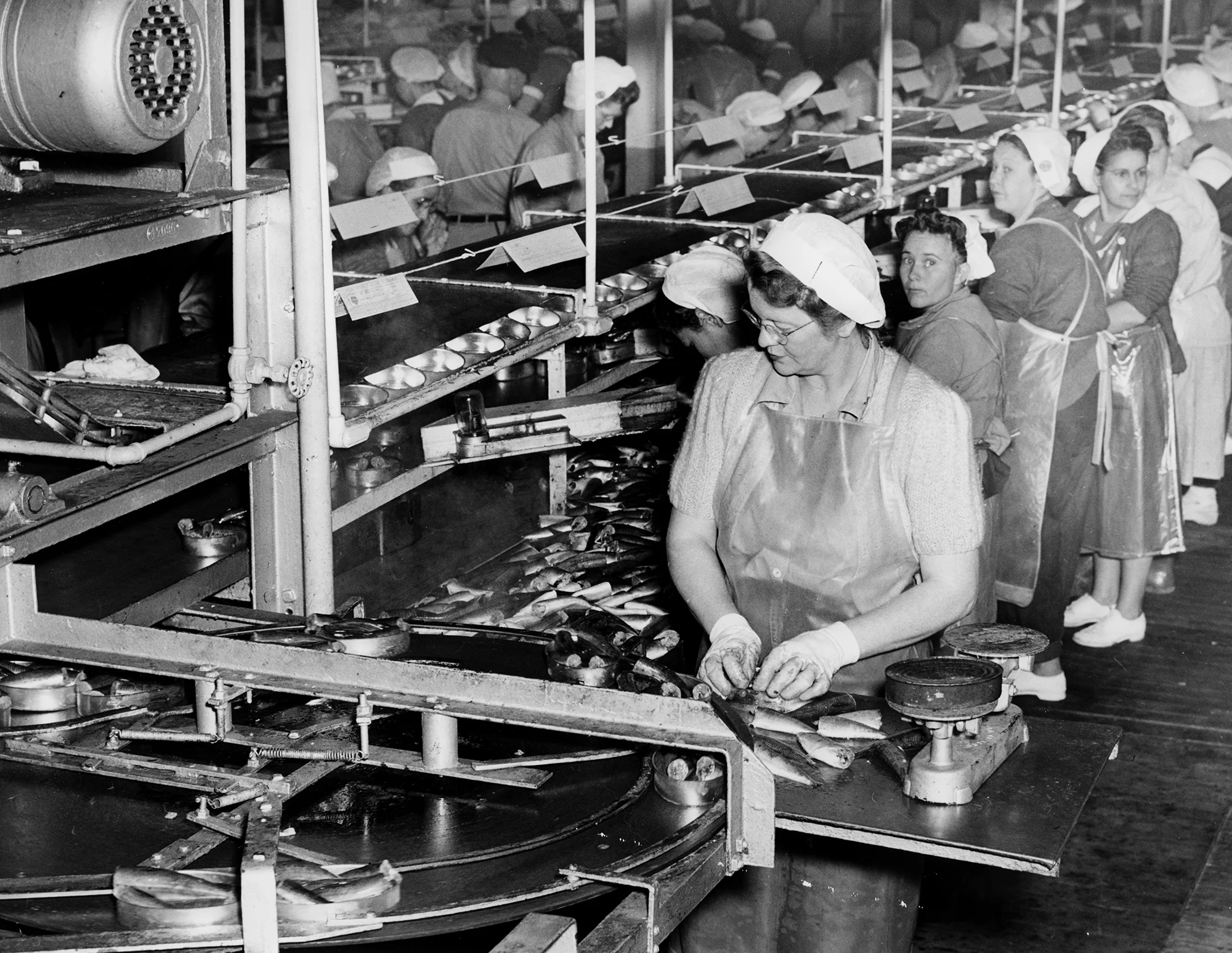 Photo credit: Monterey Public Library/California History Room