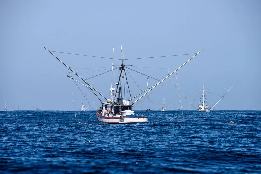#MontereyBaySeafood: helping people find local, sustainable seafood