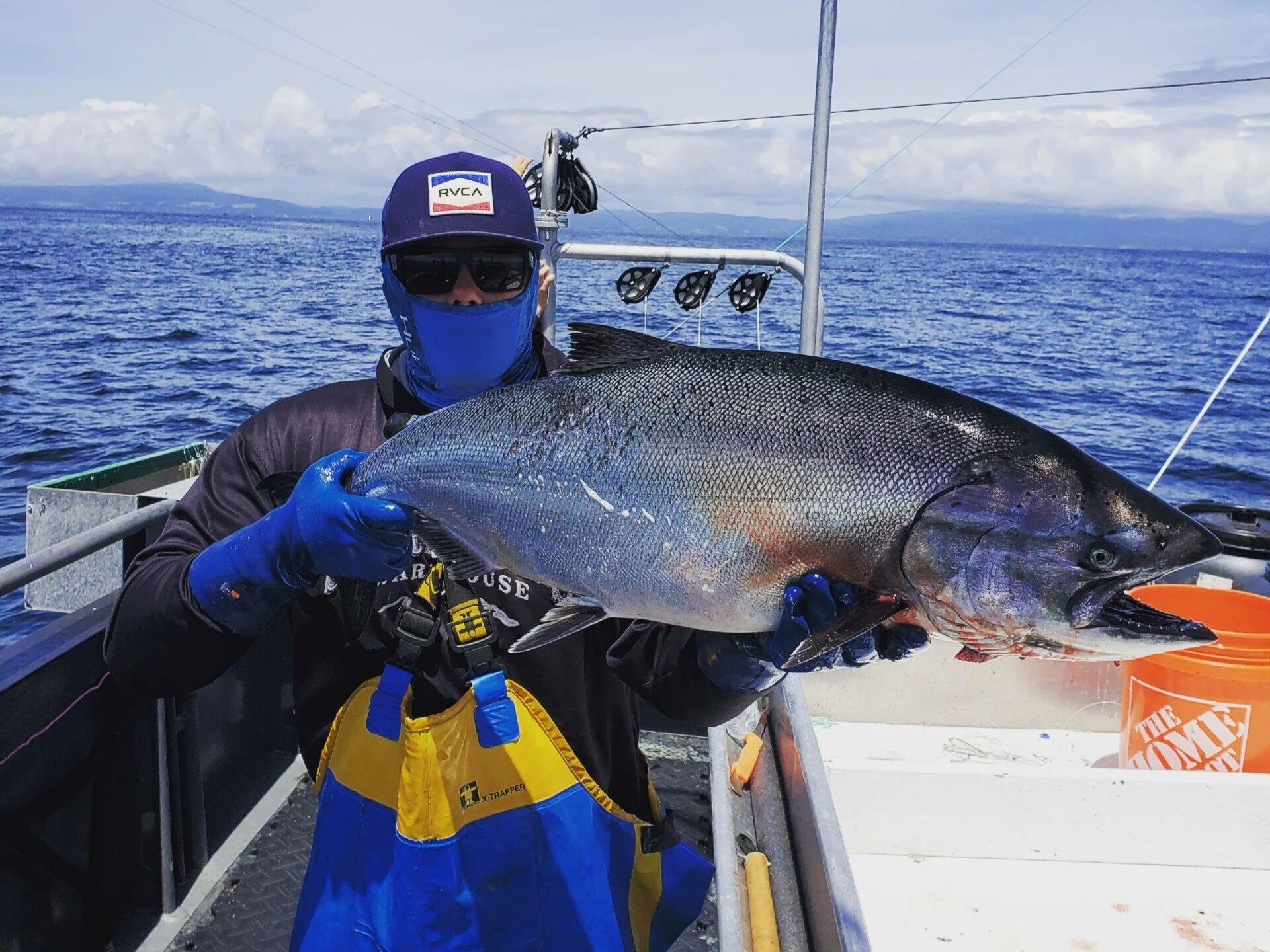 Wild King Salmon When Is It In Season And Available Monterey Bay Fisheries Trust