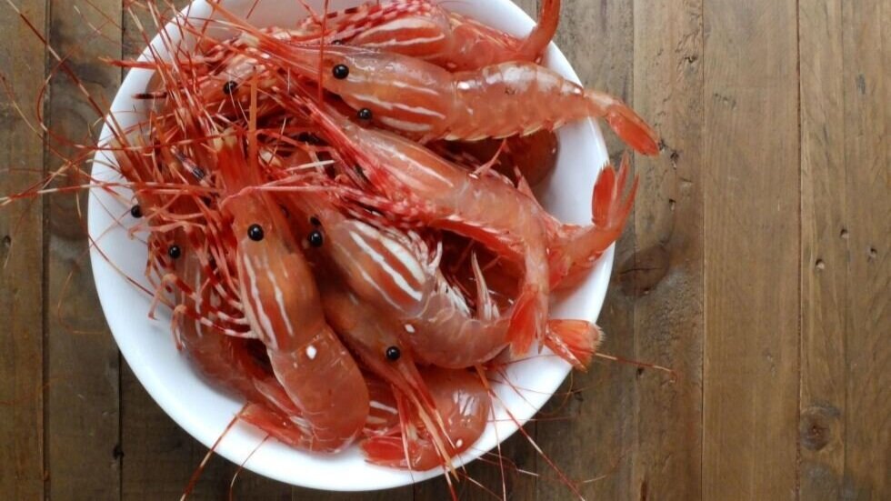 Spot Prawns What to know, when & where to get them — Monterey Bay