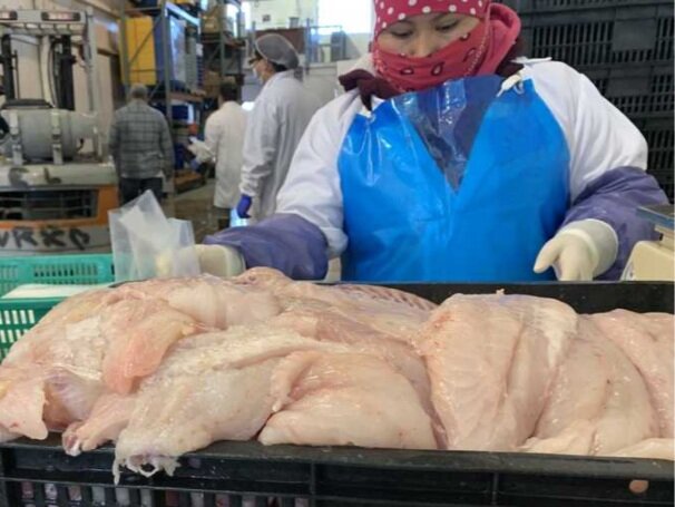 Nonprofit partnership keeps fisherman fishing, puts food on tables of those in need