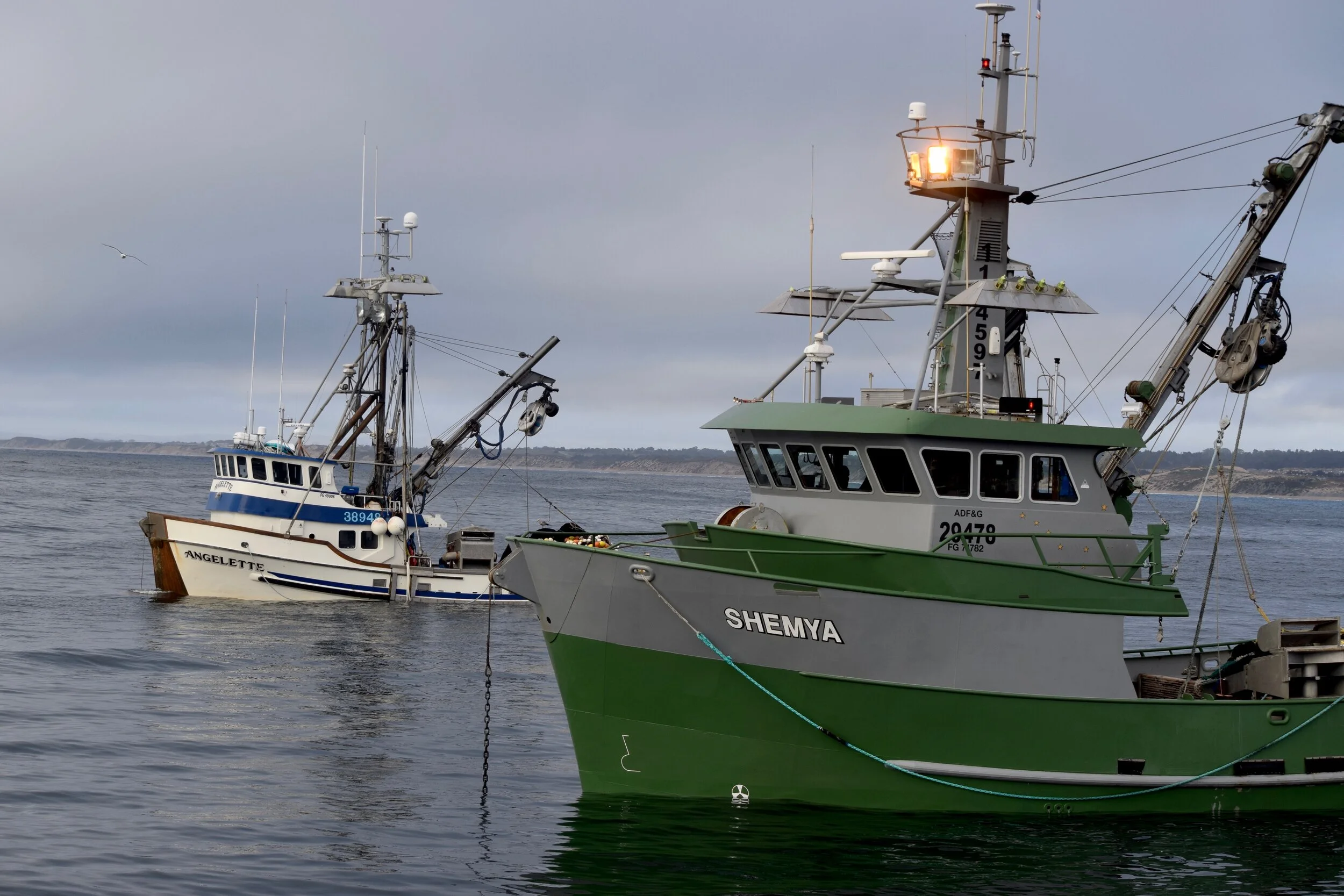 Federal Relief for Fishing Businesses