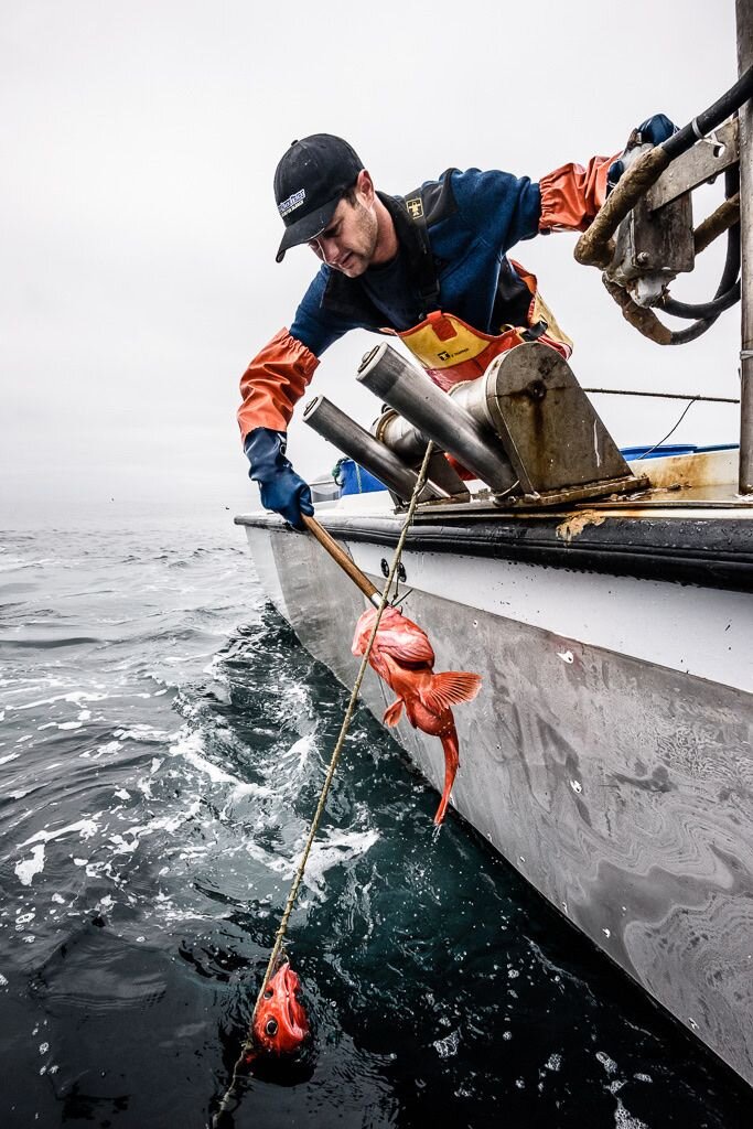 Fishing Gear Types 101: Longlines & Hook and Line — Monterey Bay