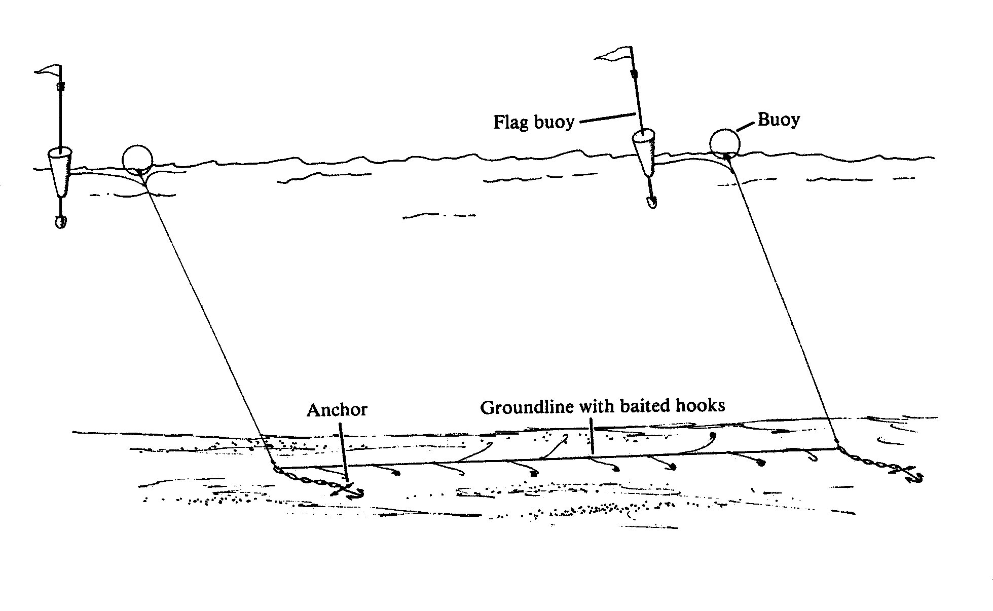 Fishing Gear Types 101: Longlines & Hook and Line — Monterey Bay