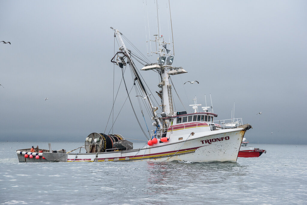 Neil Guglielmo, F/V Trionfo — Monterey Bay Fisheries Trust