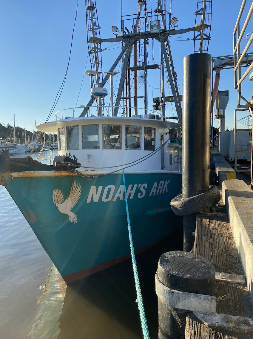 March 2023 - The Director's Corner