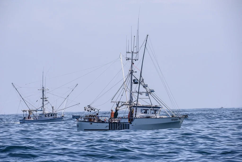 Fisheries Management Is Complicated. Here’s How Fishermen Are Helping.