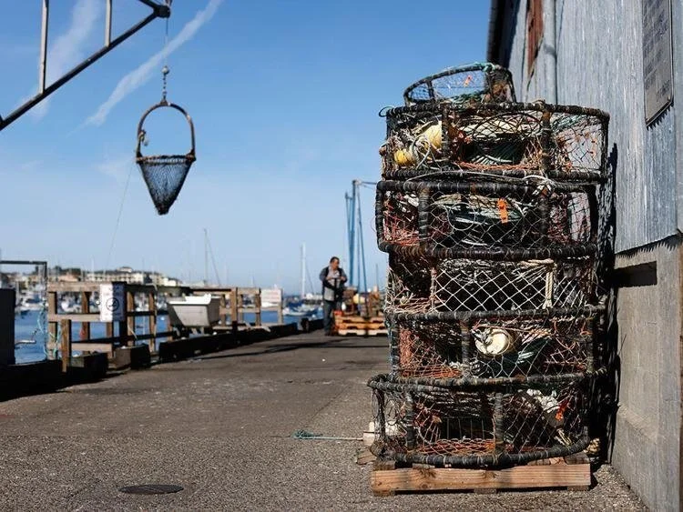 A Glimmer of Hope for Fishermen Hurt by Recent State Declaration