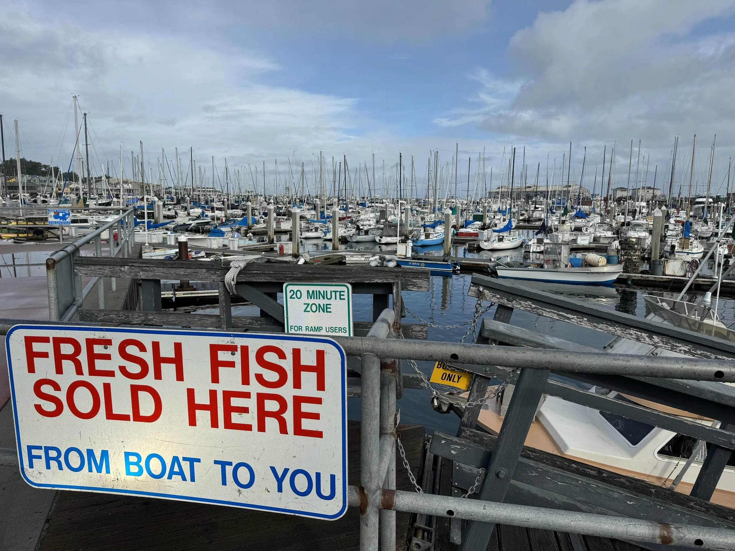 July 2025 Newsletter