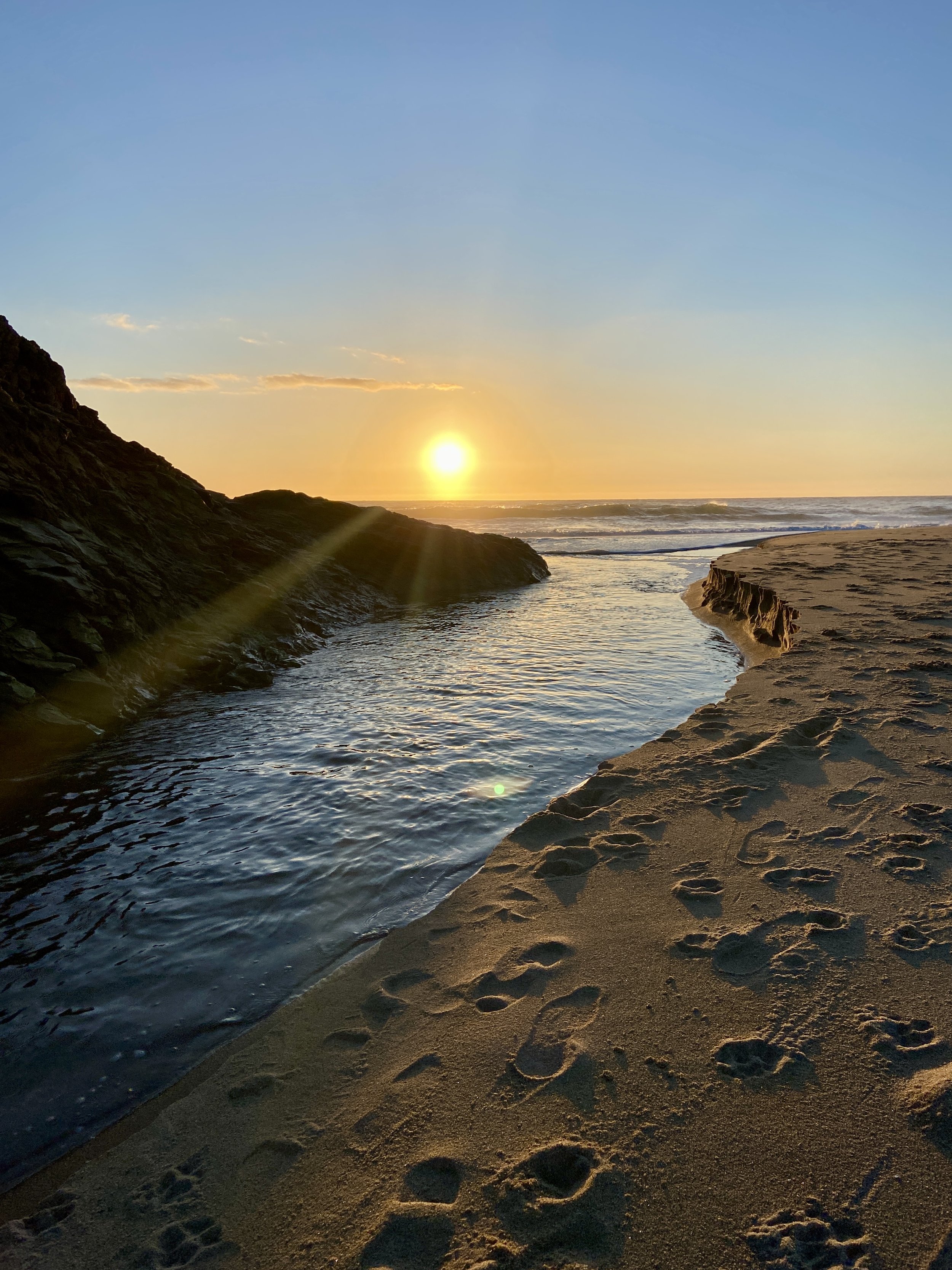 January 2026 - Director's Corner