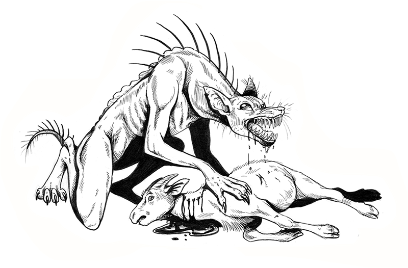 Chupacabra