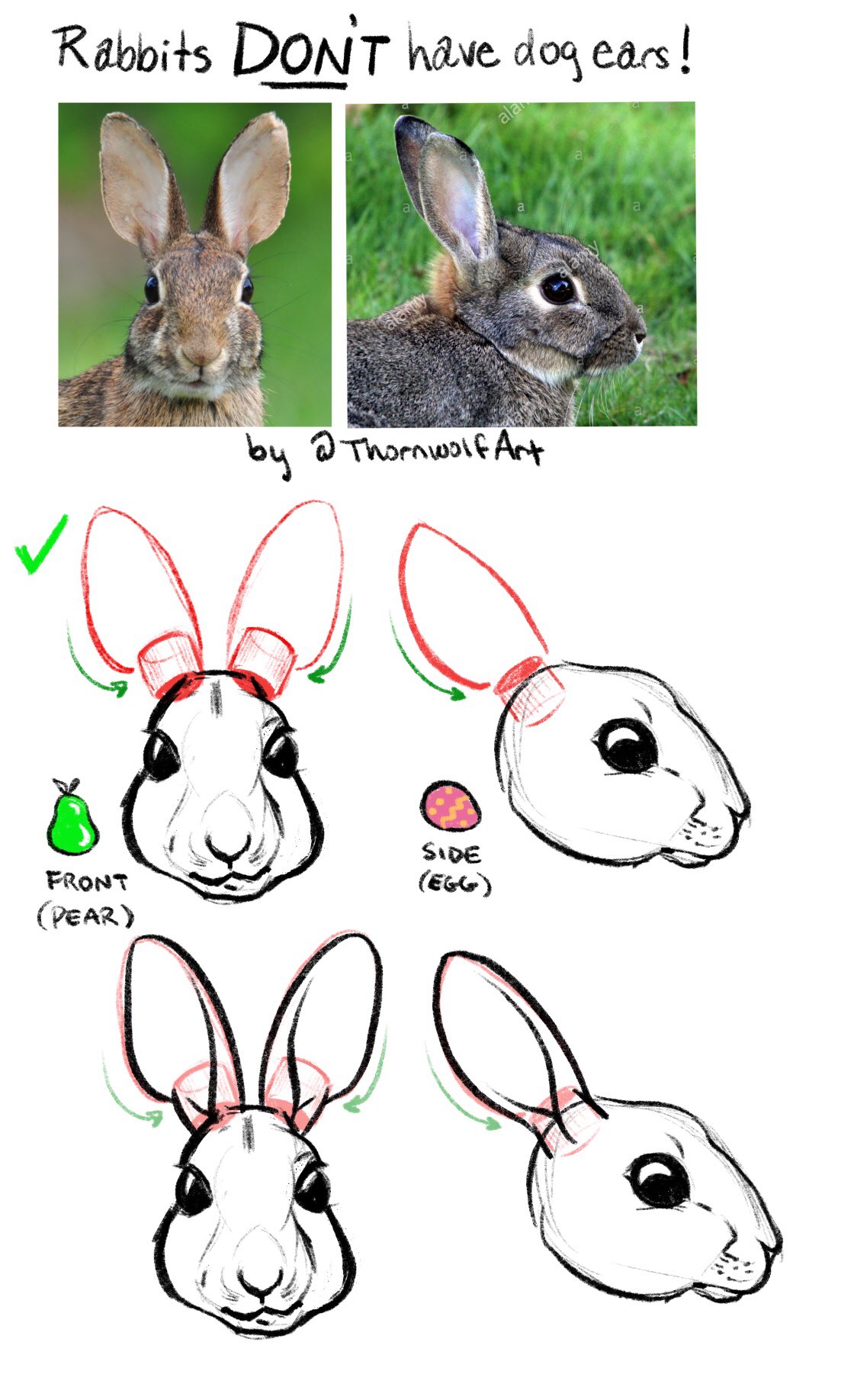 Cute Sketch rabbit drawing ears up for Windows PC