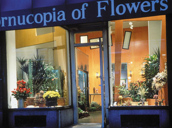 CORNUCOPIA FLOWERS&lt;strong&gt;NEW YORK, NEW YORK&lt;/strong&gt;