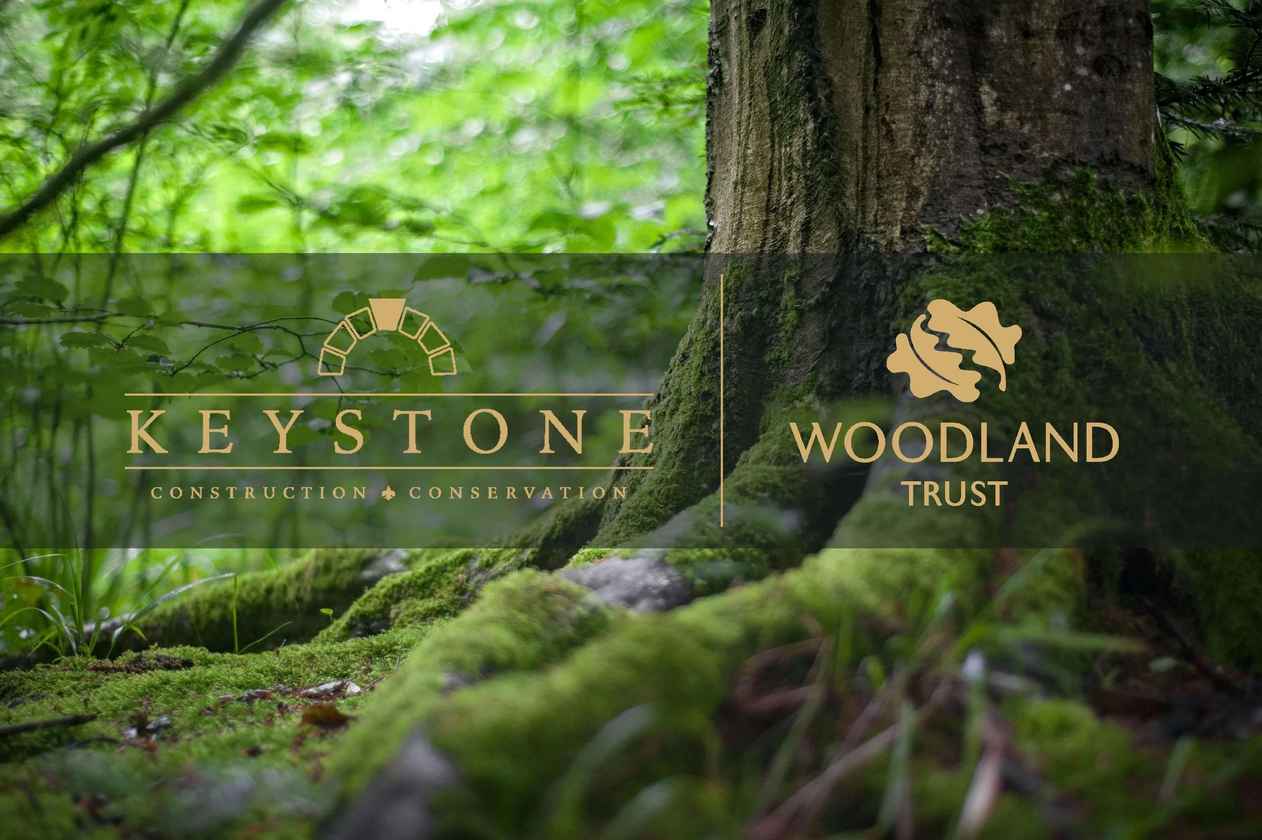 Joining Forces with the Woodland Trust: Keystone Heritage’s Commitment to Natural Conservation