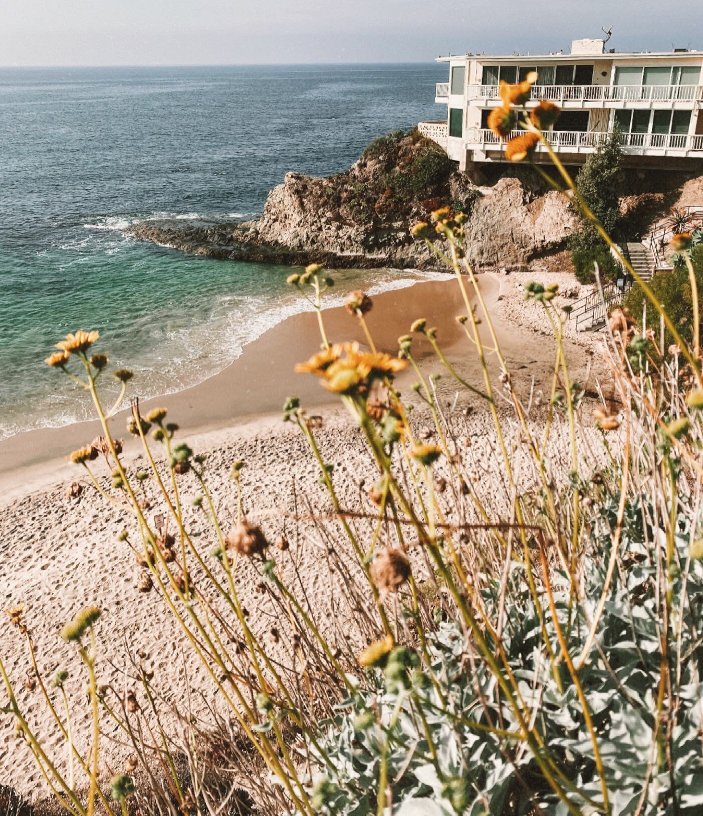 Go somewhere that makes you excited to be aliveeee every single day, my friends ✌🏽✨ 

#lagunabeach #visitlagunabeach