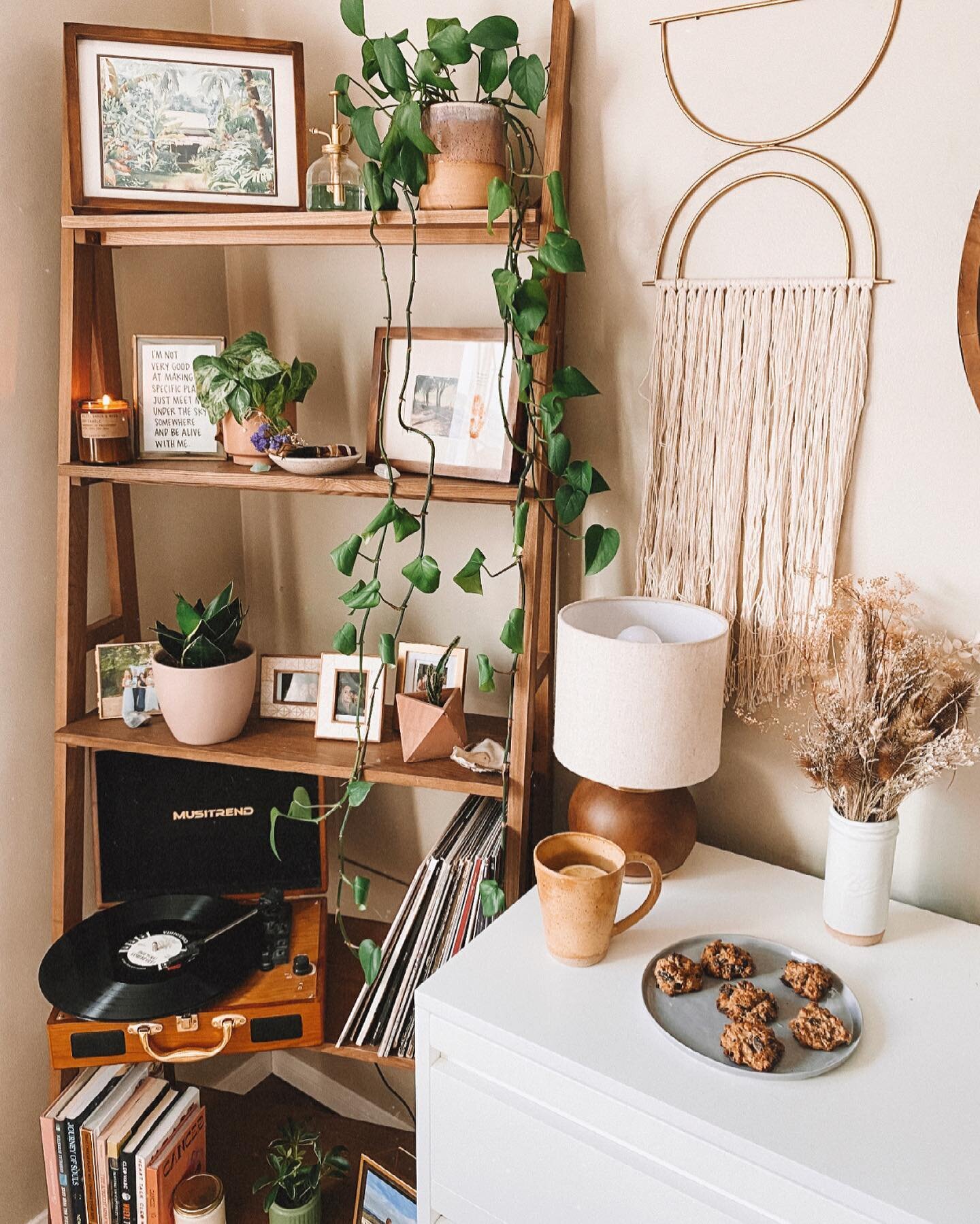 Back in my little beach jungle with some tunes playing, a candle burning, and all of the coziness needed after changing time zones 🌿✨✌🏽
⠀
 http://liketk.it/3a8ix #liketkit @liketoknow.it #jungalowstyle #plantsmakepeoplehappy #apartmenttherapy