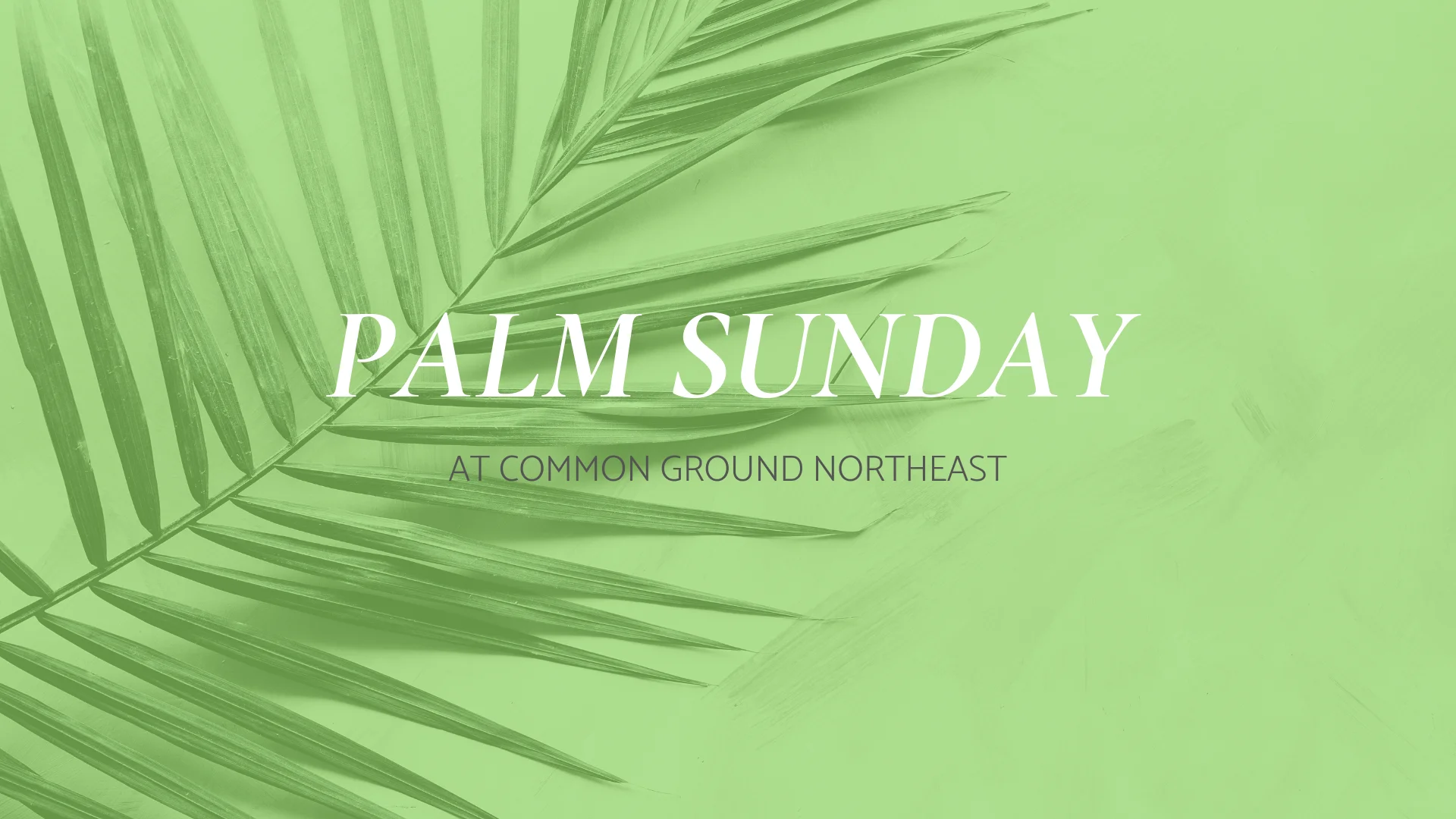 Palm Sunday.015.jpeg